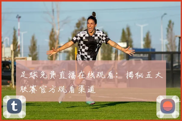 足球免费直播在线观看：揭秘五大联赛官方观看渠道